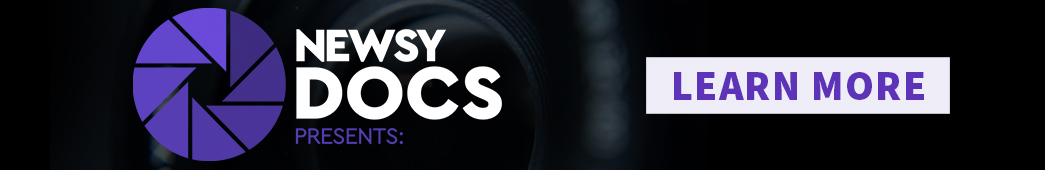 Newsy docs logo