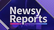 Newsy Reports