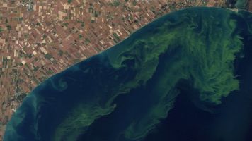 The Big Problem With Lake Erie's Big Algae Blooms
