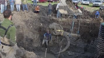 Ancient Mammoth Skeleton Found On Michigan Farm