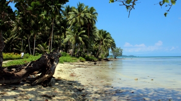 New Study Shows The Solomon Islands Are Being Swallowed By The Ocean