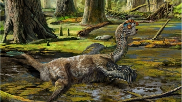 New Dinosaur Fossil Has A Lot In Common With Its Bird Relatives