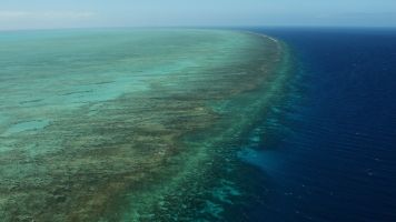 Australia Is Going To Spend A Lot Of Money On The Great Barrier Reef