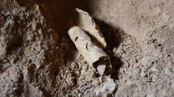 Archaeologists May Have Just Found Another Dead Sea Scrolls Cave