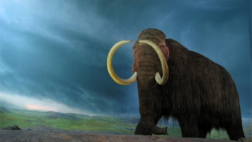 A Form Of Woolly Mammoth Resurrection Might Be Closer Than We Thought