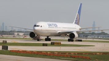 United Airlines Under Fire Again After Giant Rabbit Dies On Flight