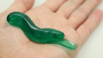 Surgical Glue Inspired By Slug Slime Could Mend Your Broken Heart