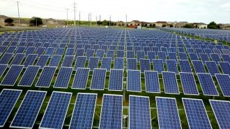 A solar farm in San Antonio, Texas