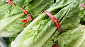Romaine Lettuce-Linked E. Coli Outbreak Spreads