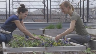 Dream Jobs: Rooftop Farmer