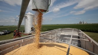 Farmers Could Bear Brunt Of US-China Trade War
