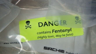 US Customs Make Largest Fentanyl Bust In Its History