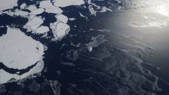 Sea ice in the Antarctic Peninsula region