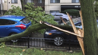 A downed tree limb blocks a roadway in Chicago's Lakeview neighborhood on Monday, Aug. 10, 2020.