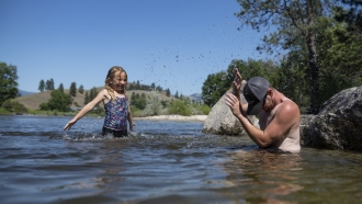 A family cools off in the Bitterroot River as temperatures reached over 100 degrees in Missoula, Montana.