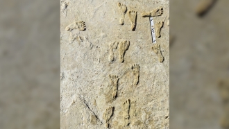 Oldest Human Footprints In North America Found In New Mexico