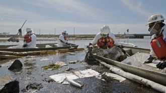 Workers in boats clean up oil in water.