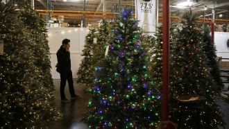 Christmas Tree Industry Struck By Supply Chain Issues
