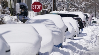 Snow covers vehicles