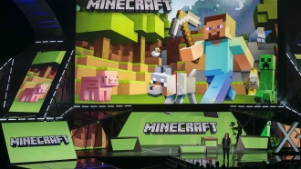 Images from "Minecraft" video game