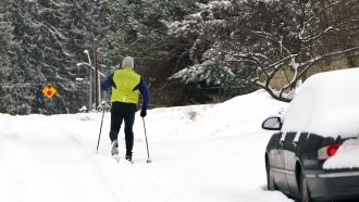 A skier heads down a residential street where about six inches of snow fell overnight