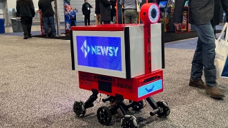A robot is seen at CES.