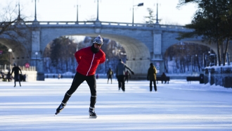 Skaters on a frozen waterway