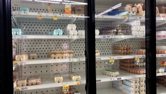 Grocery store's empty shelves