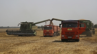 Global Wheat Supply At Risk As Russia's War On Ukraine Continues