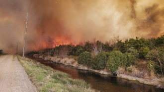 An active wildland fire