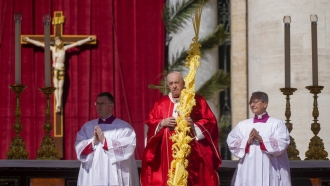Pope Francis celebrates Palm Sunday Mass in St. Peter's Square at the Vatican.