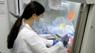 A researcher in a lab at the University of Chicago Medical Center