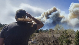 Arizona Wildfire Doubles In Size Overnight