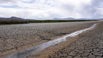Officials Ask Californians To Limit Water Usage Amid Historic Drought