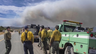 Wildland firefighters from several agencies throughout the country