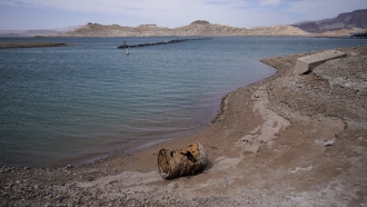 Bodies Found In Lake Mead Renew Interest In Vegas Mob Folklore