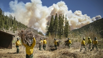 Firefighters in New Mexico clear brush and debris away from cabins as smoke from a wildfire billows in the background.