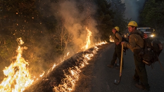 Firefighters monitor a controlled burn in California