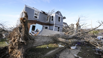 An overturned tree sits in front of a tornado-damaged home in Mayfield, KY.