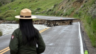 Yellowstone National Park Ranger surveys damage from floods