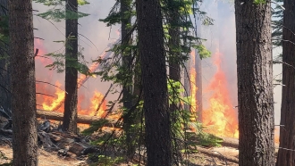 Yosemite Fire Grows As Crews Protect Iconic Sequoias