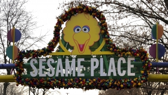 Sesame Place Apologizes After Black Girls Snubbed At Parade