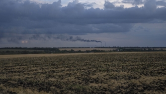 Grain fields in eastern Ukraine
