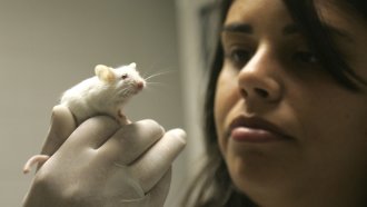 A researcher holds a lab rat