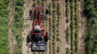 A person drives a tractor through a field.