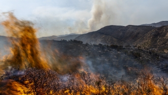 A forest burns during a wildfire near Altura, eastern Spain.