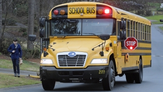 Nearly One-Third Of Parents Worry School Traffic Is Dangerous