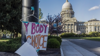 Federal Judge Blocks Idaho Abortion Ban In Medical Emergencies