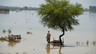 Pakistan Flooding Deaths Pass 1,000 In 'Climate Catastrophe'
