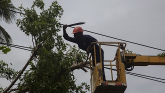 An electric company worker mounted on a crane uses a machete to cut away tree branches felled on power lines